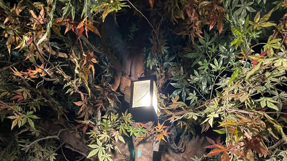 Visitia el Museo y el 'Bosc de les Fades' 5