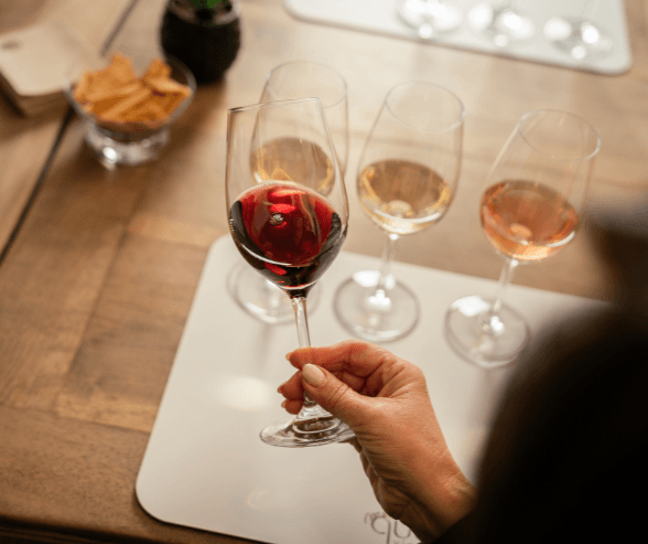 Entdecken Sie Spanischen Wein mit einer Einzigartigen Erfahrung in Lloret de Mar 4