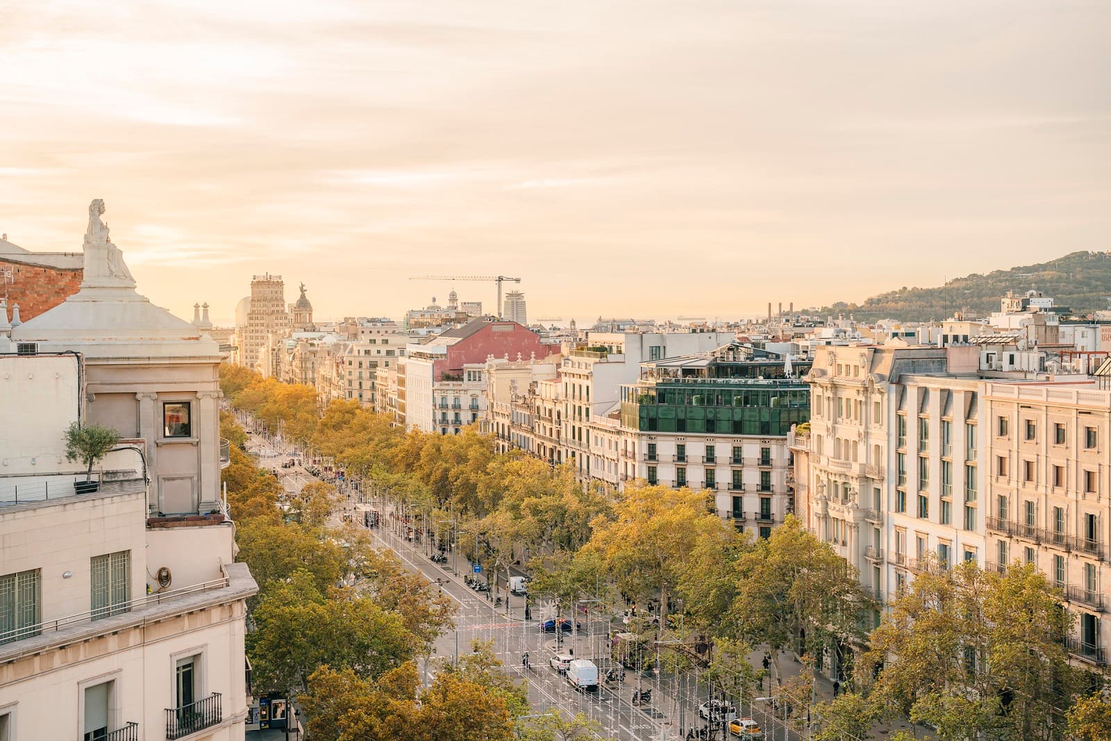 Visita Guiada a La Pedrera: Descubre la Joya de Gaudí sin Esperas 5