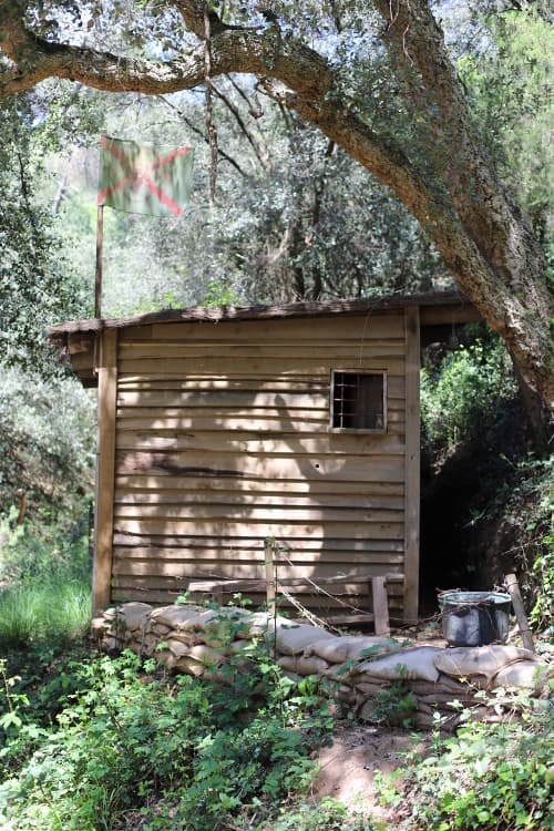 Vivi l'Avventura del Forest Escape Game: Sfida all'Aperto nel Bosco! 2