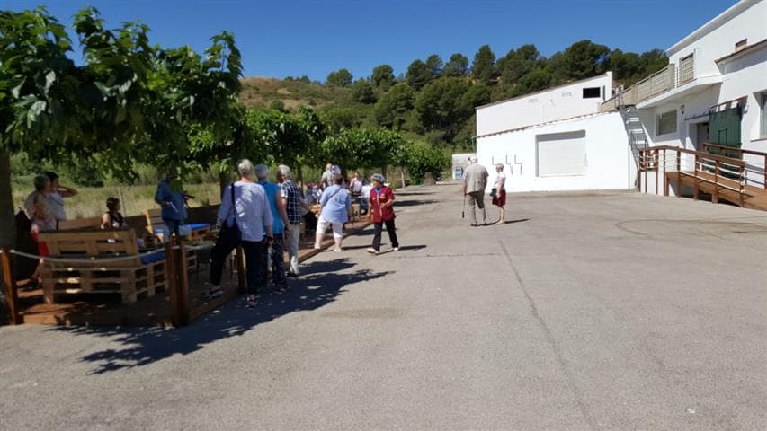 Experiencia Anchoas: Visita al Museo y Degustación en L’Escala 4