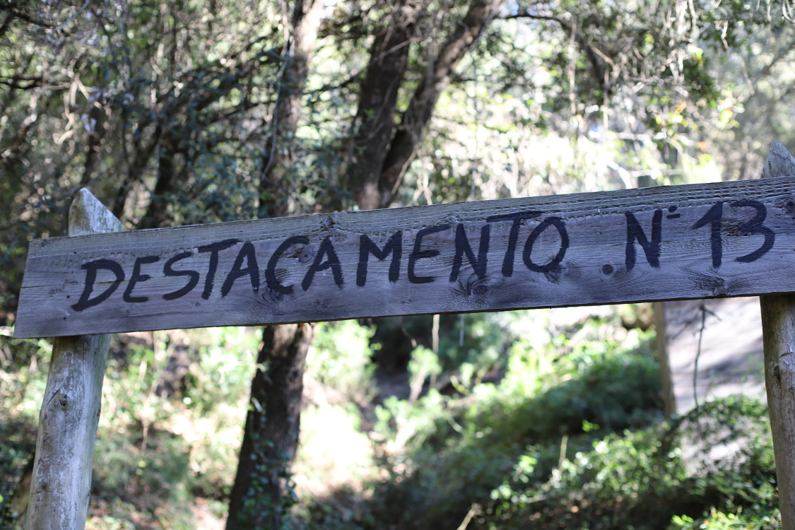 ¡Vive la Aventura del Forest Escape Game: Desafío al Aire Libre en el Bosque!